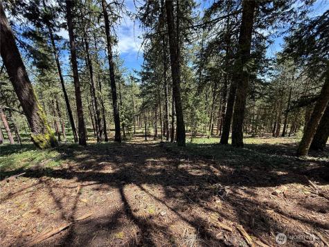 305 Sunrise Way East Wenatchee WA 98802