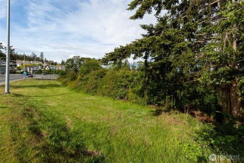 0 State Route 20 (Lot 4) Oak Harbor WA 98277