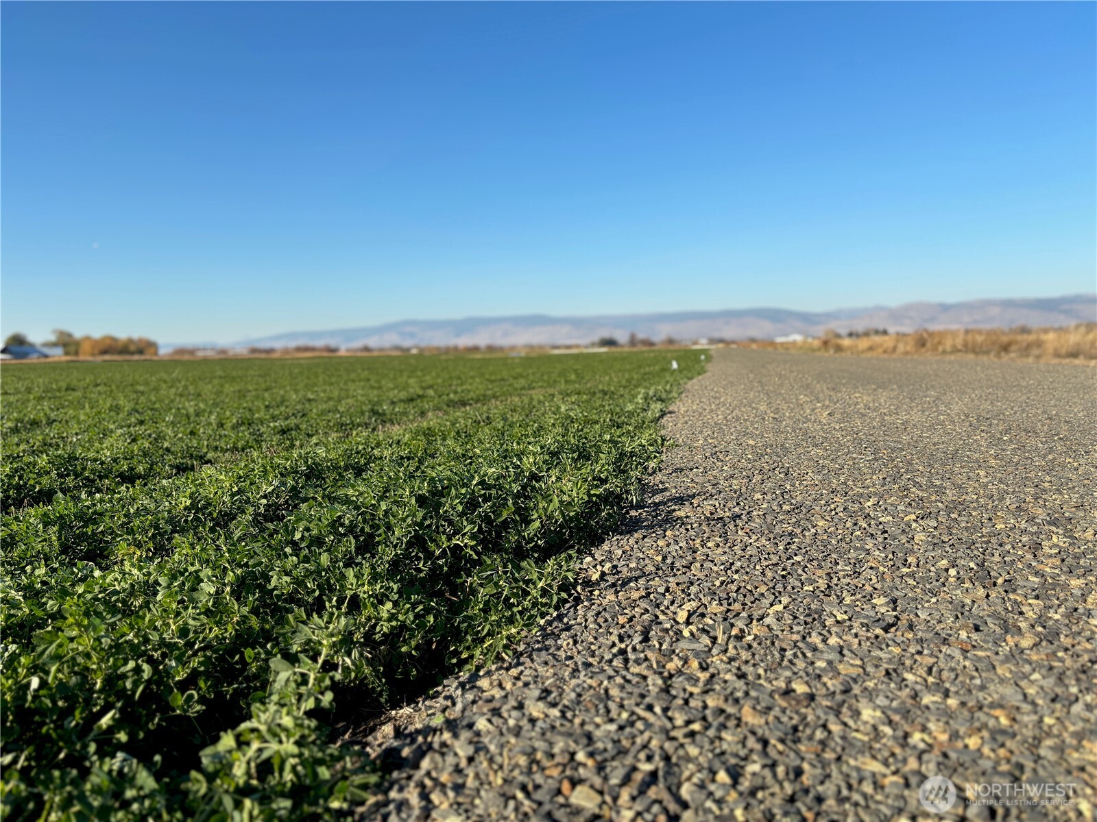 3 Lyons Road Ellensburg WA 98926