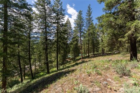 6 Homestead Road Winthrop WA 98862