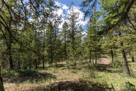 6 Homestead Road Winthrop WA 98862