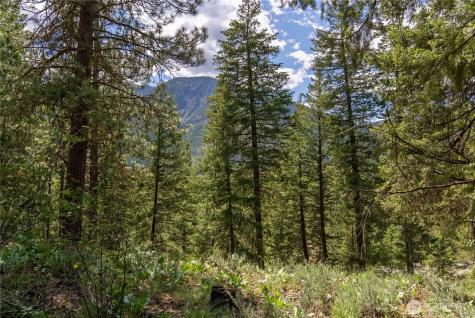 6 Homestead Road Winthrop WA 98862