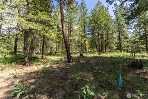 6 Homestead Road Winthrop WA 98862
