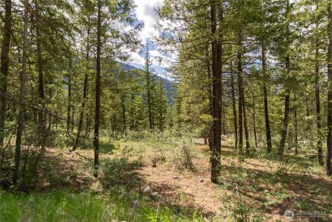 6 Homestead Road Winthrop WA 98862