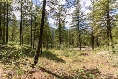 6 Homestead Road Winthrop WA 98862