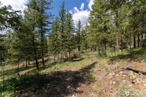6 Homestead Road Winthrop WA 98862