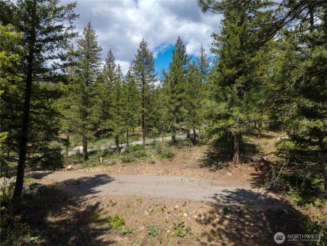 6 Homestead Road Winthrop WA 98862