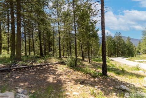6 Homestead Road Winthrop WA 98862