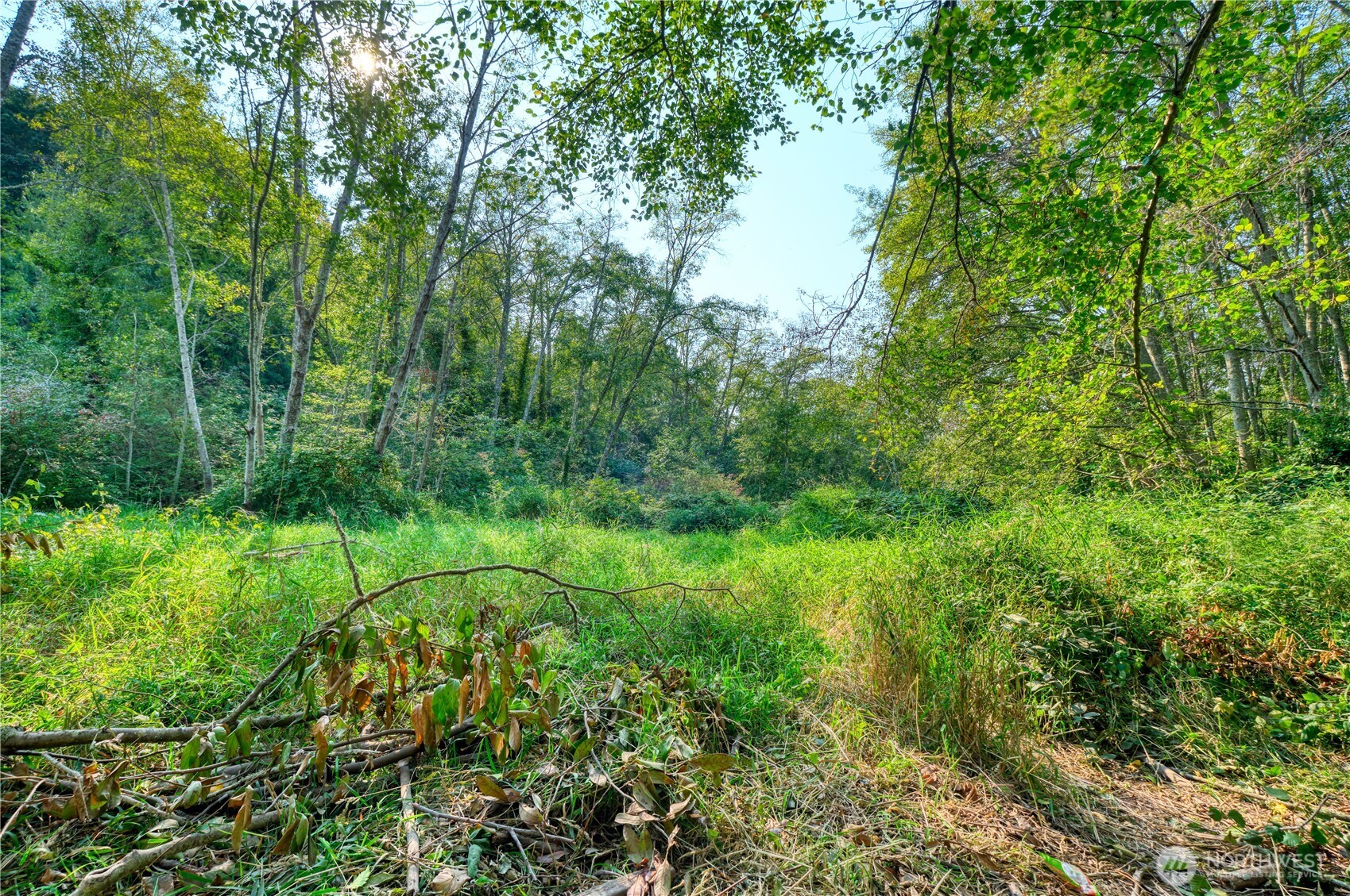 0 3.73 Acres Derby Avenue Point Roberts WA 98281