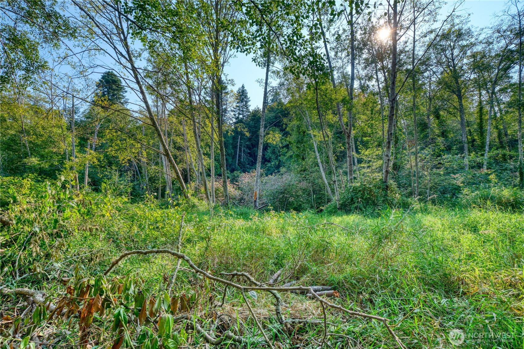 0 3.73 Acres Derby Avenue Point Roberts WA 98281
