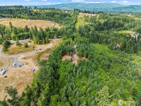 239 Durins Place Castle Rock WA 98611