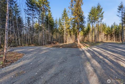 239 Durins Place Castle Rock WA 98611