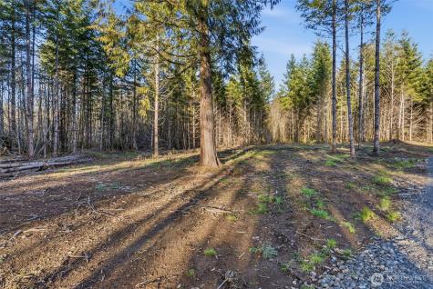 239 Durins Place Castle Rock WA 98611