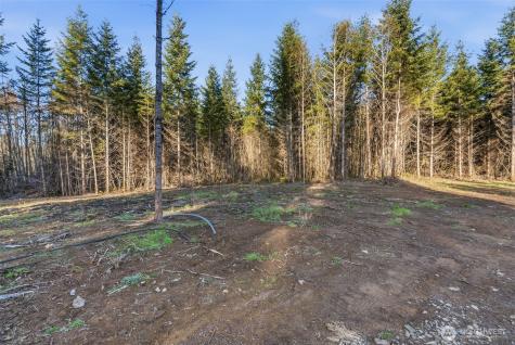 239 Durins Place Castle Rock WA 98611