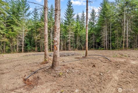 239 Durins Place Castle Rock WA 98611