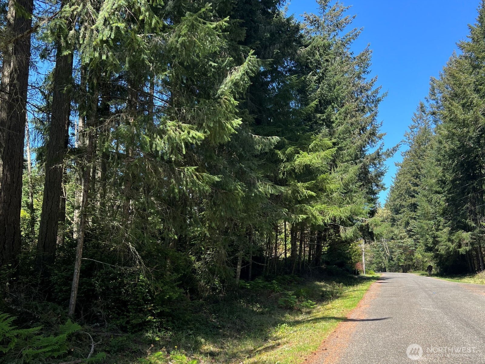 10312 Paine Road Anderson Island WA 98303