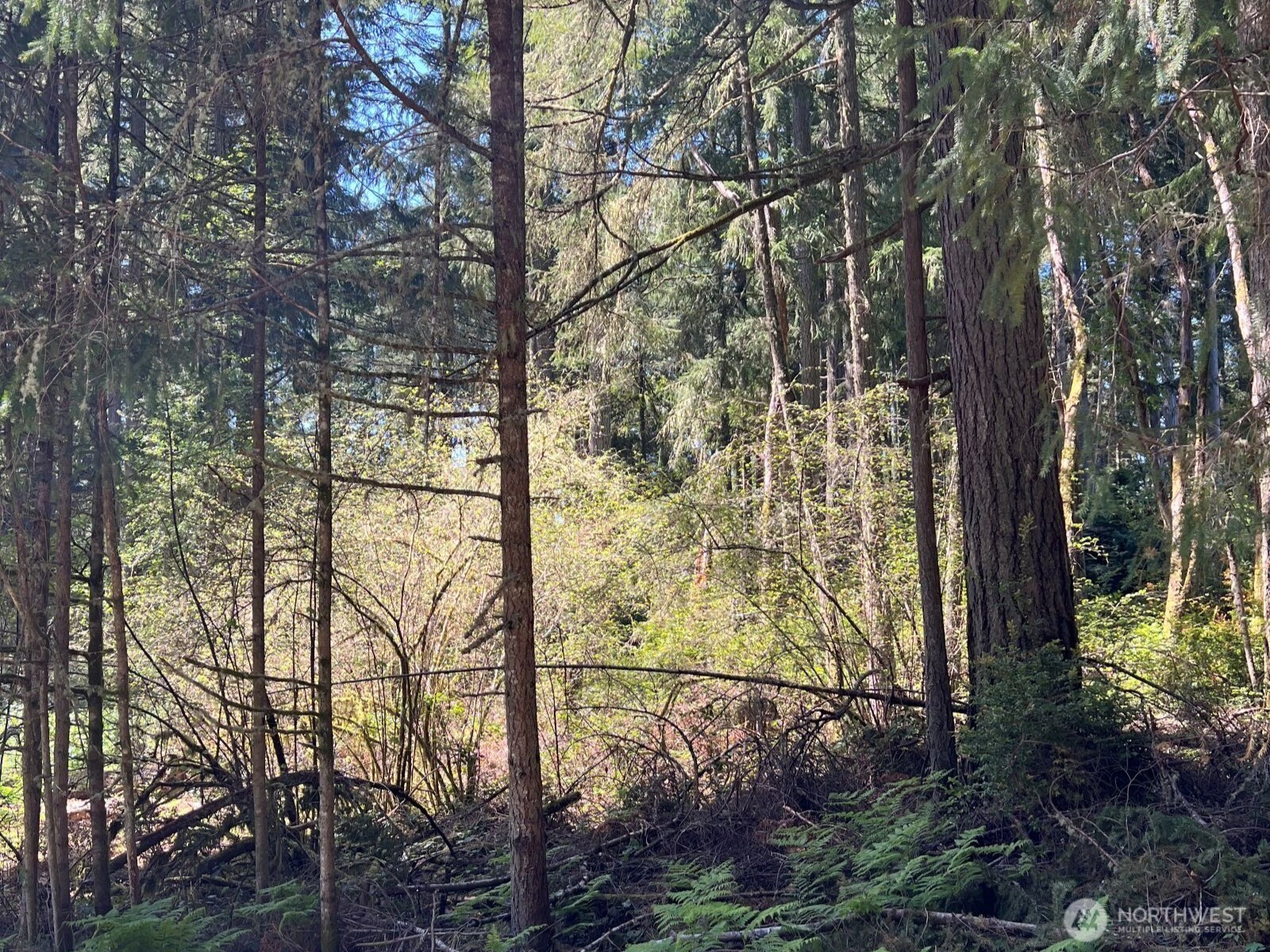 10312 Paine Road Anderson Island WA 98303