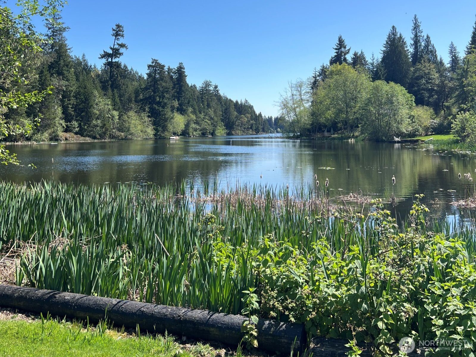 10312 Paine Road Anderson Island WA 98303