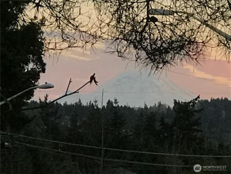 1515 3rd Street Kirkland WA 98033