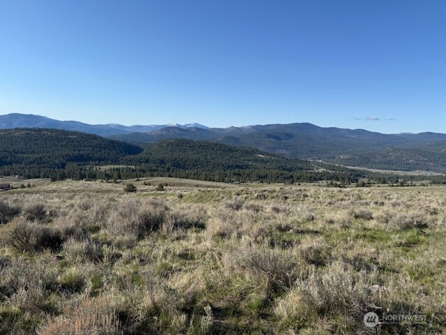 111 Tbd White Tail Lane Tonasket WA 98855