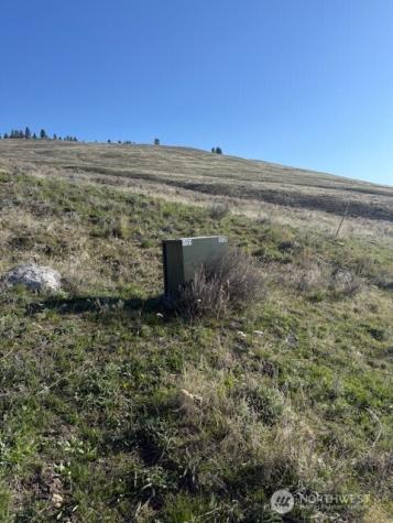 111 Tbd White Tail Lane Tonasket WA 98855