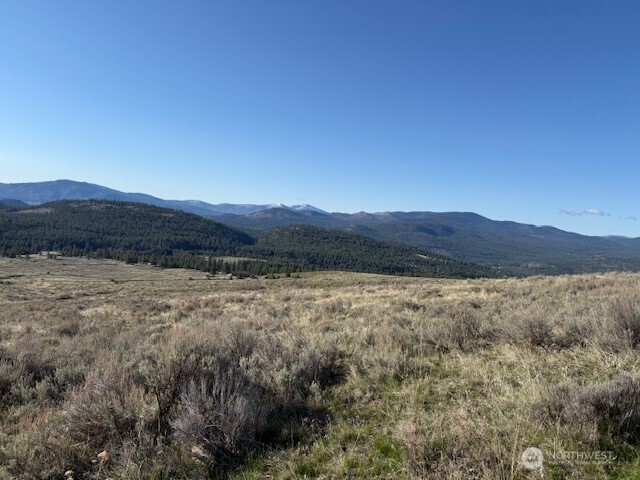 111 Tbd White Tail Lane Tonasket WA 98855