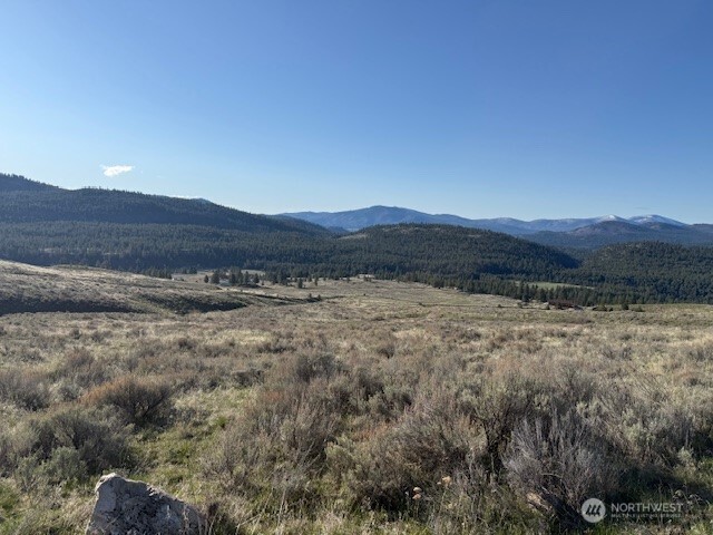 111 Tbd White Tail Lane Tonasket WA 98855