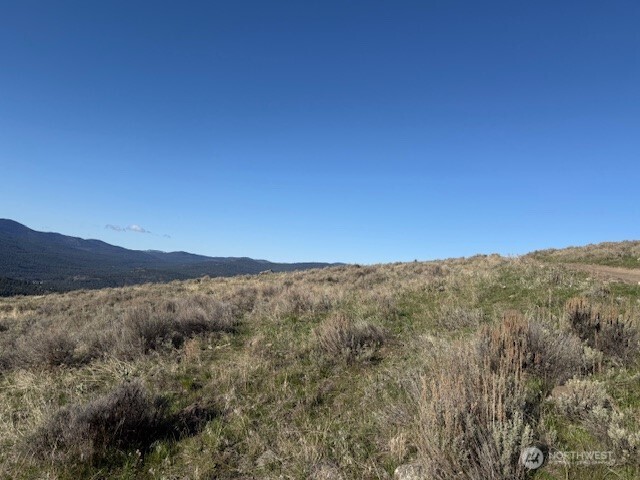 111 Tbd White Tail Lane Tonasket WA 98855