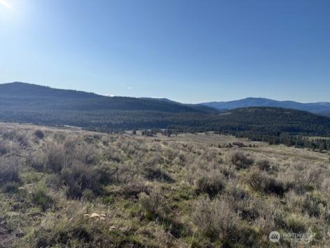 111 Tbd White Tail Lane Tonasket WA 98855