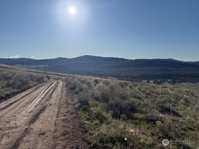 111 Tbd White Tail Lane Tonasket WA 98855
