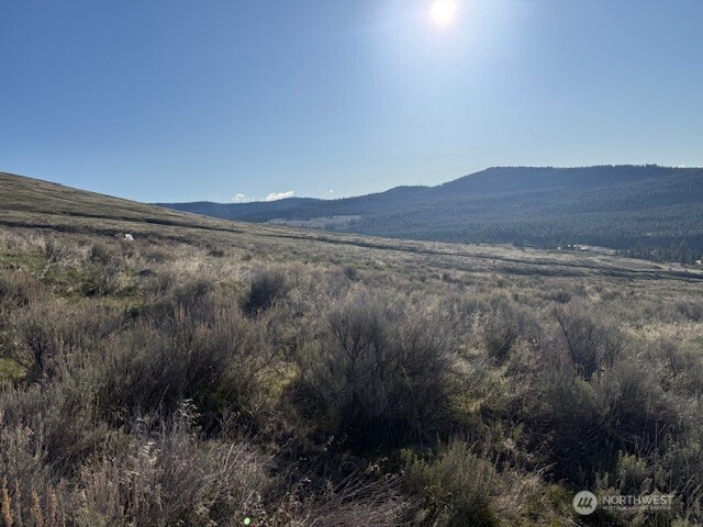 111 Tbd White Tail Lane Tonasket WA 98855