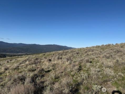 111 Tbd White Tail Lane Tonasket WA 98855