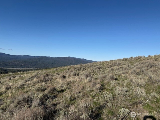 111 Tbd White Tail Lane Tonasket WA 98855
