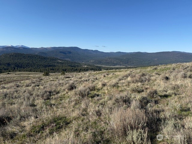 111 Tbd White Tail Lane Tonasket WA 98855