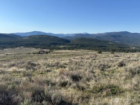 111 Tbd White Tail Lane Tonasket WA 98855