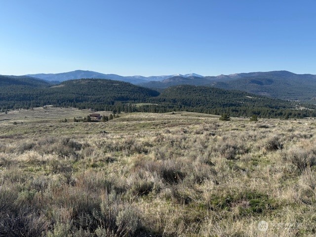 111 Tbd White Tail Lane Tonasket WA 98855