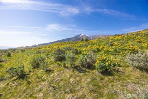 435 Highway 153 Pateros WA 98846