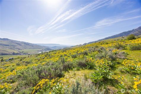 435 Highway 153 Pateros WA 98846