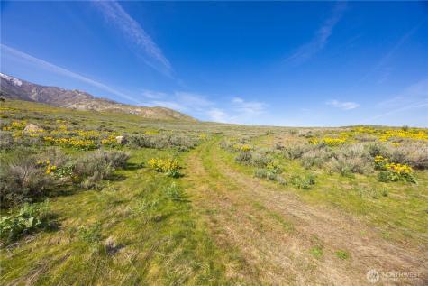 435 Highway 153 Pateros WA 98846