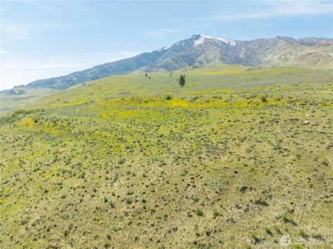 435 Highway 153 Pateros WA 98846