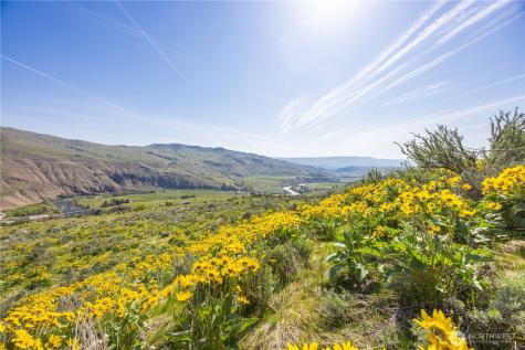 435 Highway 153 Pateros WA 98846