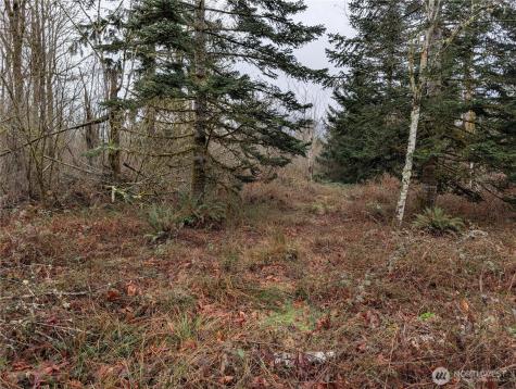 427 156th Street SE Gold Bar WA 98251