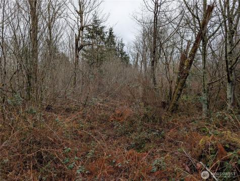 427 156th Street SE Gold Bar WA 98251