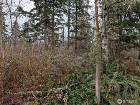 427 156th Street SE Gold Bar WA 98251