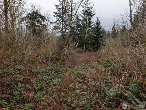 427 156th Street SE Gold Bar WA 98251