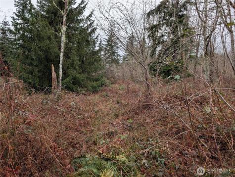 427 156th Street SE Gold Bar WA 98251