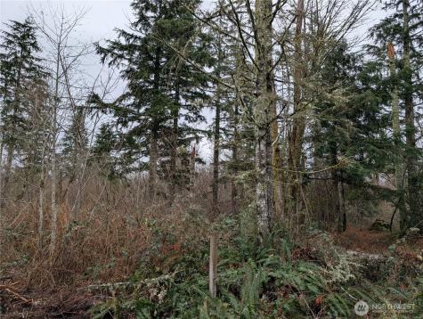 427 156th Street SE Gold Bar WA 98251