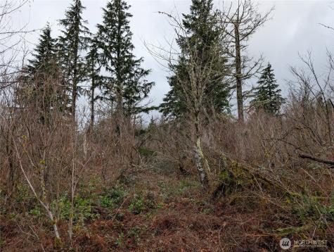 427 156th Street SE Gold Bar WA 98251