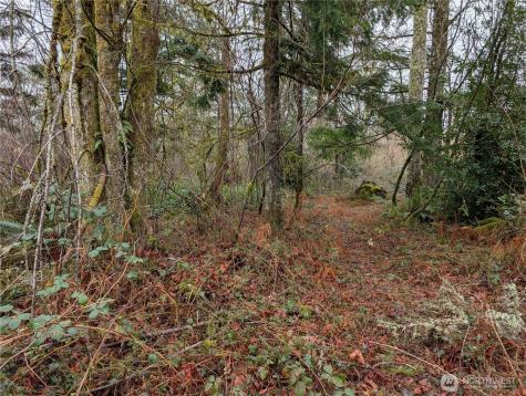 427 156th Street SE Gold Bar WA 98251
