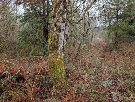 427 156th Street SE Gold Bar WA 98251